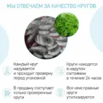 Круг для купания ROXY-KIDS Flipper надувной на шею 38х39 см Футболист 0-3 лет — 3