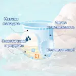 Одноразовые Трусики-подгузники для плавания малышам в бассейне XXL (12-19 кг)
