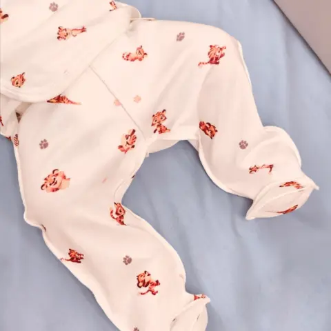 Фото Ползунки Я родился тигренок Бежевый