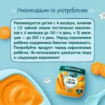 Пюре ФрутоНяня морковь 4+ мес 80 гр — 2