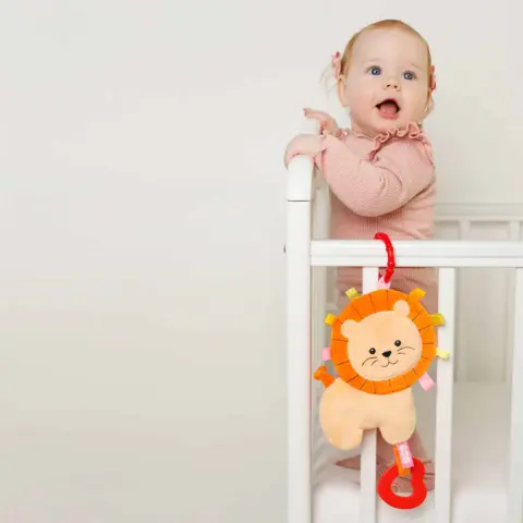 Фото Мякиши подвеска Хрустящий Лев Боня с петельками